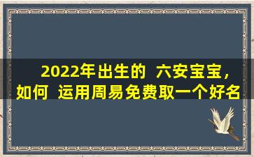 2022年出生的  六安宝宝，如何  运用周易免费取一个好名字